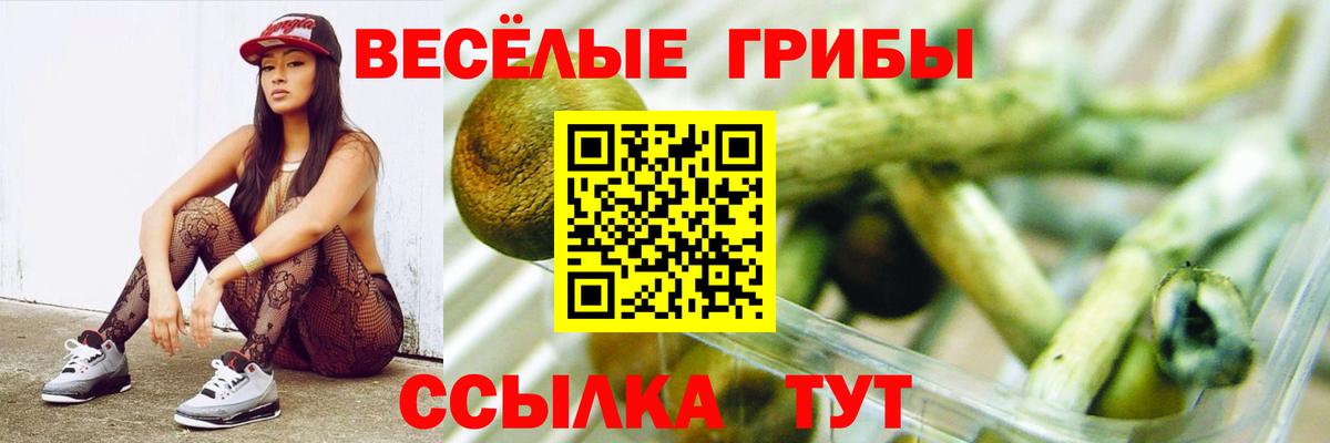 Галлюциногенные грибы Psilocybine cubensis  Галлюциногенные грибы мухоморы  Вход с VPN  Сокол 