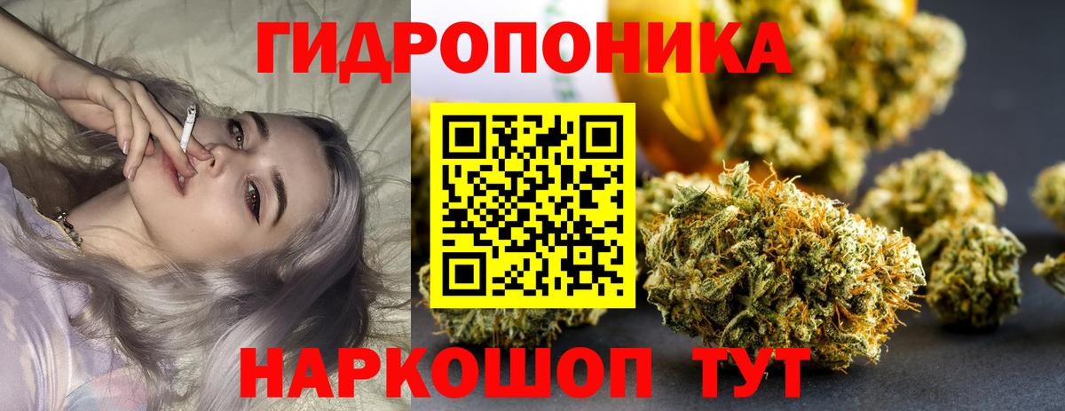 Бошки Шишки SATIVA & INDICA  Бошки Шишки тримм  Вход с VPN  Бошки Шишки MAZAR  Марихуана VHQ  Сокол 